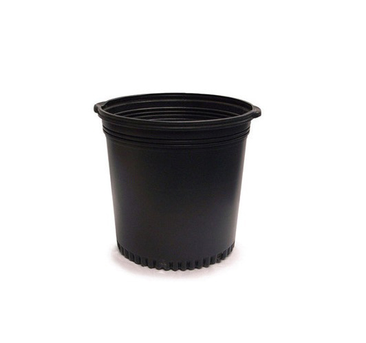 10 Gallon Whiteridge Nursery Pot Black - 25 per sleeve - Nursery Containers